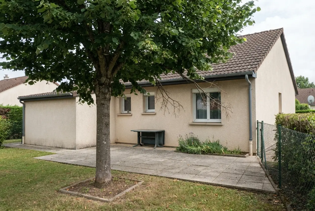 Tilleul dense avant élagage à Saint-Germain-du-Puy